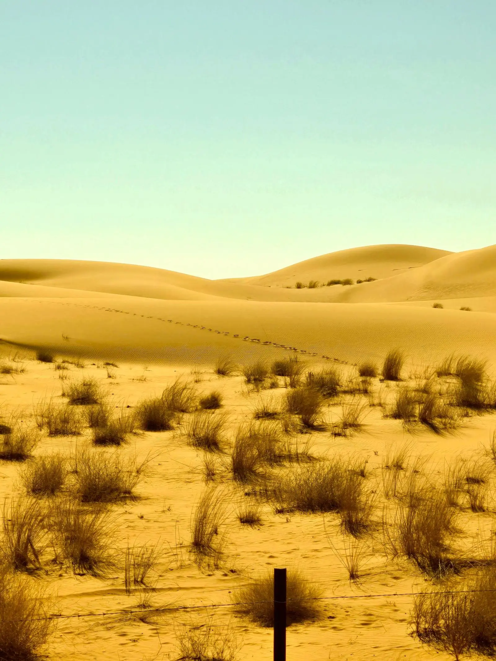 Sand dunes under a clear sky near Riyadh.
